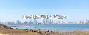 ​山东和韩国哪个面积大