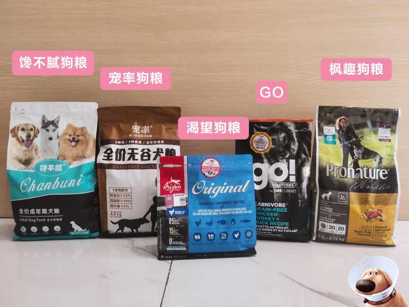 蝴蝶犬为什么禁养（犬中贵族“蝴蝶犬”）