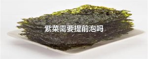 ​紫菜需要提前泡吗