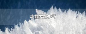 ​冰晶要加水吗