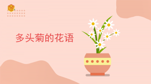 ​多头菊的花语