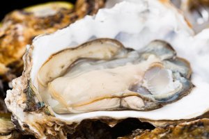 ​蒸生蚝冷水下锅10分钟能熟吗（蒸生蚝冷水下锅还是热水）