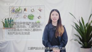 ​乙醇汽油和普通汽油能混用吗