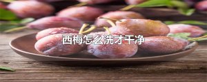 ​西梅怎么洗才干净