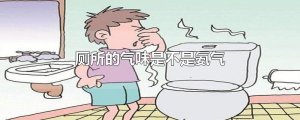 ​厕所的气味是不是氨气