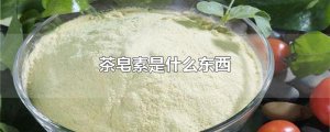​茶皂素是什么东西