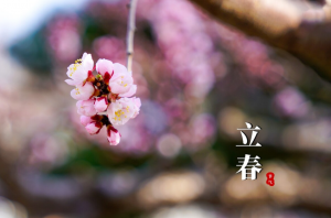 ​北方立春吃什么食物图片（立春必吃5样东西讨个好彩头）