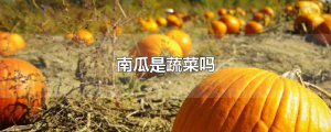 ​南瓜是蔬菜吗
