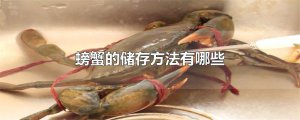 ​螃蟹的储存方法有哪些