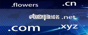 ​中国的顶级域名