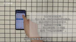 ​支付宝怎么交违章罚款
