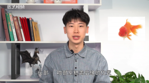 ​金鱼的身体分为哪三部分