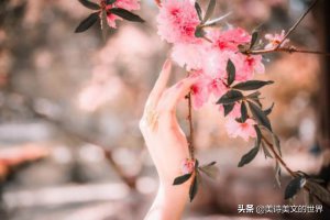 ​十指不沾阳春水是什么意思（网络金句十指不沾阳春水何意）