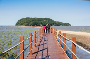 ​海陵岛在哪里属于哪个省（广东海陵岛的相关景点介绍）