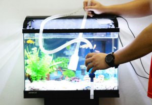 ​鱼缸怎么换水才清澈呢（鱼缸换水和清理的正确方法）
