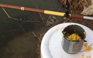 ​钓鱼打窝是什么意思（钓鱼打窝用什么窝料效果最好）
