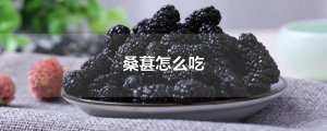 ​桑葚怎么吃