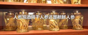 ​人参泡酒用干人参还是新鲜人参