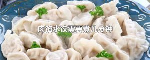 ​肉馅水饺需要煮几分钟