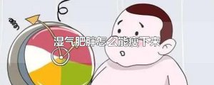 ​湿气肥胖怎么能瘦下来