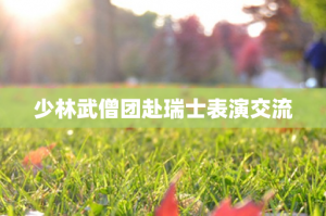 ​少林武僧团赴瑞士表演交流