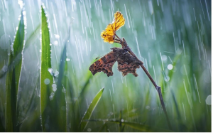 ​2023年梅雨季节是几月份到几月份结束