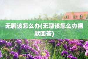 ​无聊该怎么办(无聊该怎么办幽默回答)