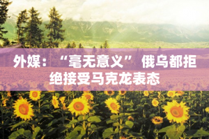 ​外媒：“毫无意义” 俄乌都拒绝接受马克龙表态