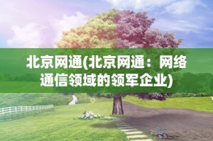 ​北京网通(北京网通：网络通信领域的领军企业)