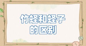 ​竹蛏和蛏子有什么区别？竹蛏和蛏子哪个营养高？