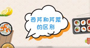 ​西芹和芹菜有什么区别？西芹和芹菜哪个营养好？