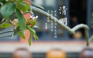 ​2023年清明节能上坟吗 2023年上坟最佳时间