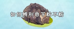 ​如何辨别香芋粉不粉 怎么判断香芋粉不粉的小诀窍分享