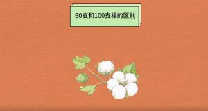 ​60支和100支棉的区别