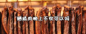​晒咸肉到了晚上可以不收吗？