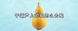 ​干葫芦上的斑怎么去除 葫芦表面怎样处理