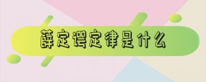 ​薛定谔定律是什么意思_什么叫薛定谔定律
