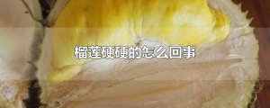 ​榴莲硬硬的怎么回事 榴莲硬硬的是不是没熟