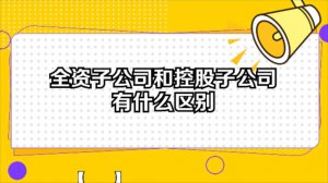 ​全资子公司是什么意思（全资子公司解释）
