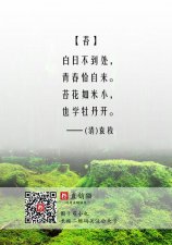 ​苔古诗意思（苔古诗意思是什么）
