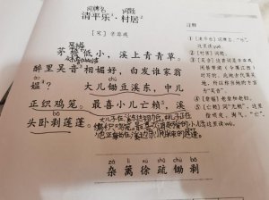 ​辛弃疾的清平乐·村居是什么意思（清平乐·村居翻译）