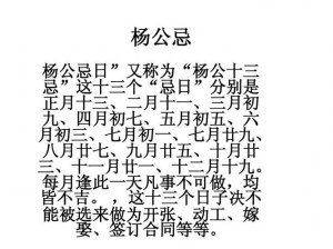 ​杨公忌日是什么意思（杨公忌日的解释）