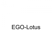 ​ego是什么意思中文（怎么理解EGO）