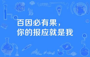 ​百因必有果你的报应就是我什么意思（这句话怎么来的）