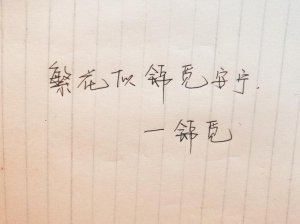 ​繁花似锦觅安宁全诗意思（繁花似锦觅安宁的意思是什么）