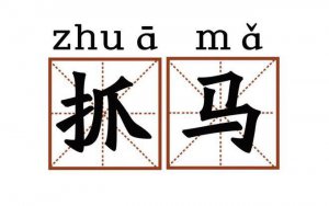 ​抓马是什么意思（抓马主要用于哪里）
