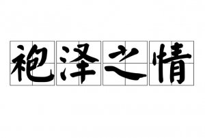 ​袍泽之情是什么意思 袍泽之情什么意思
