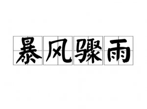 ​暴风骤雨什么意思（暴风骤雨意思简单介绍）