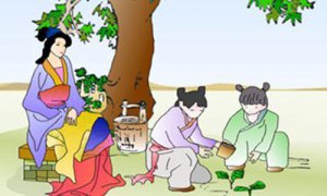 ​也傍桑阴学种瓜什么意思（也傍桑阴学种瓜的含义）