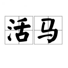 ​活马是什么意思（你知道什么意思吗）